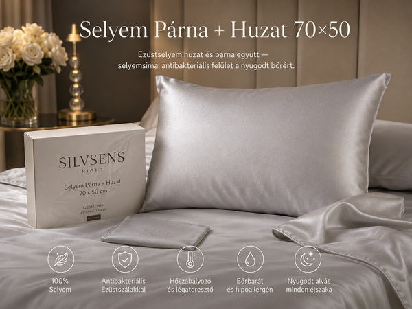 Oreiller en Soie + Housse en Soie et Fibres d’Argent — 70 × 50 cm