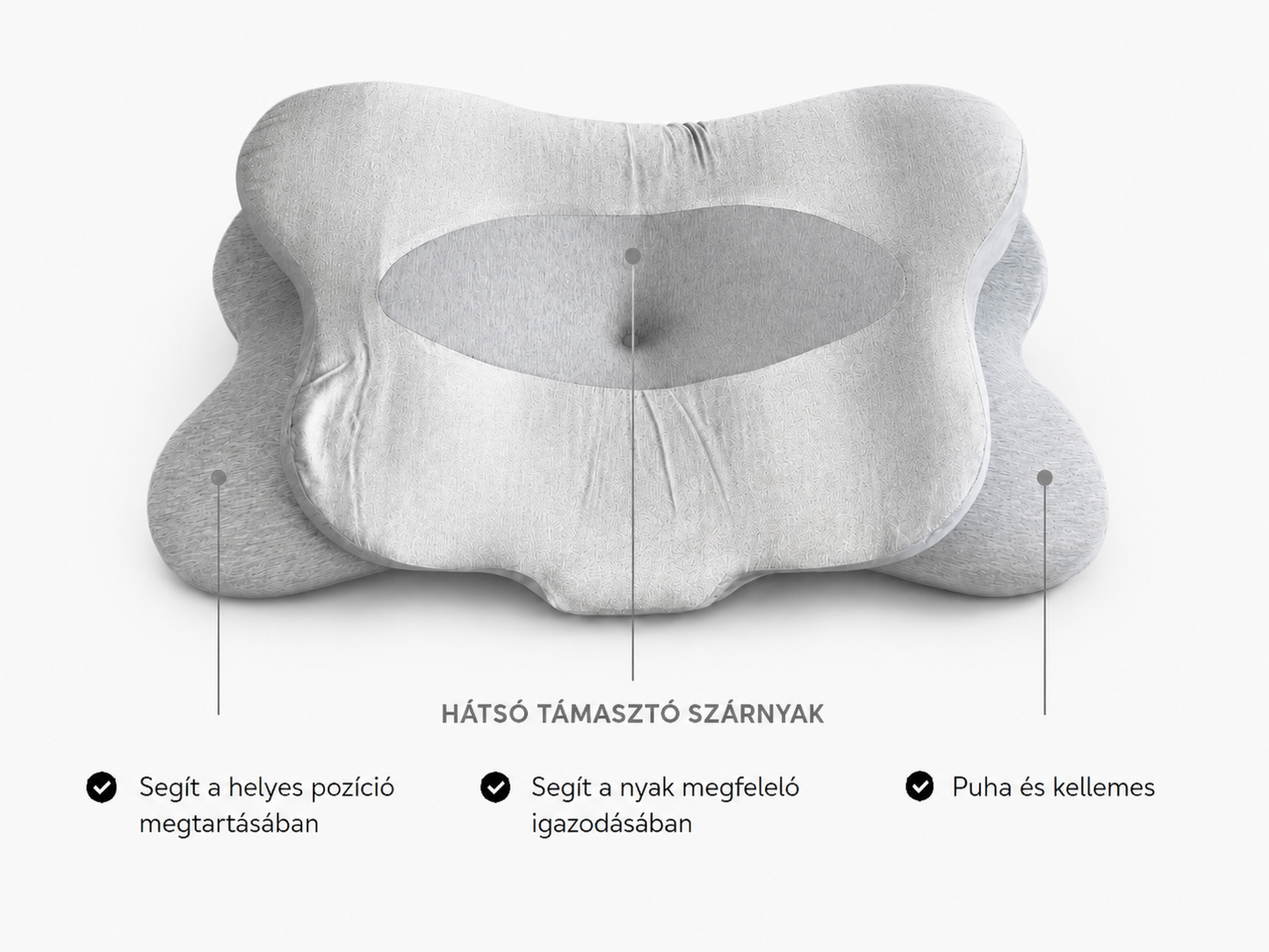 Oreiller Ergonomique Spécial Silvsens avec Soie et Fibres d’Argent