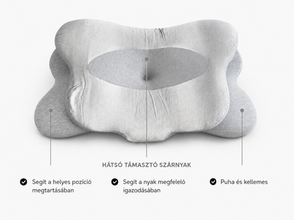 Oreiller Ergonomique Spécial Silvsens avec Soie et Fibres d’Argent