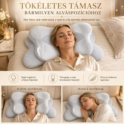 Oreiller Ergonomique Spécial Silvsens avec Soie et Fibres d’Argent